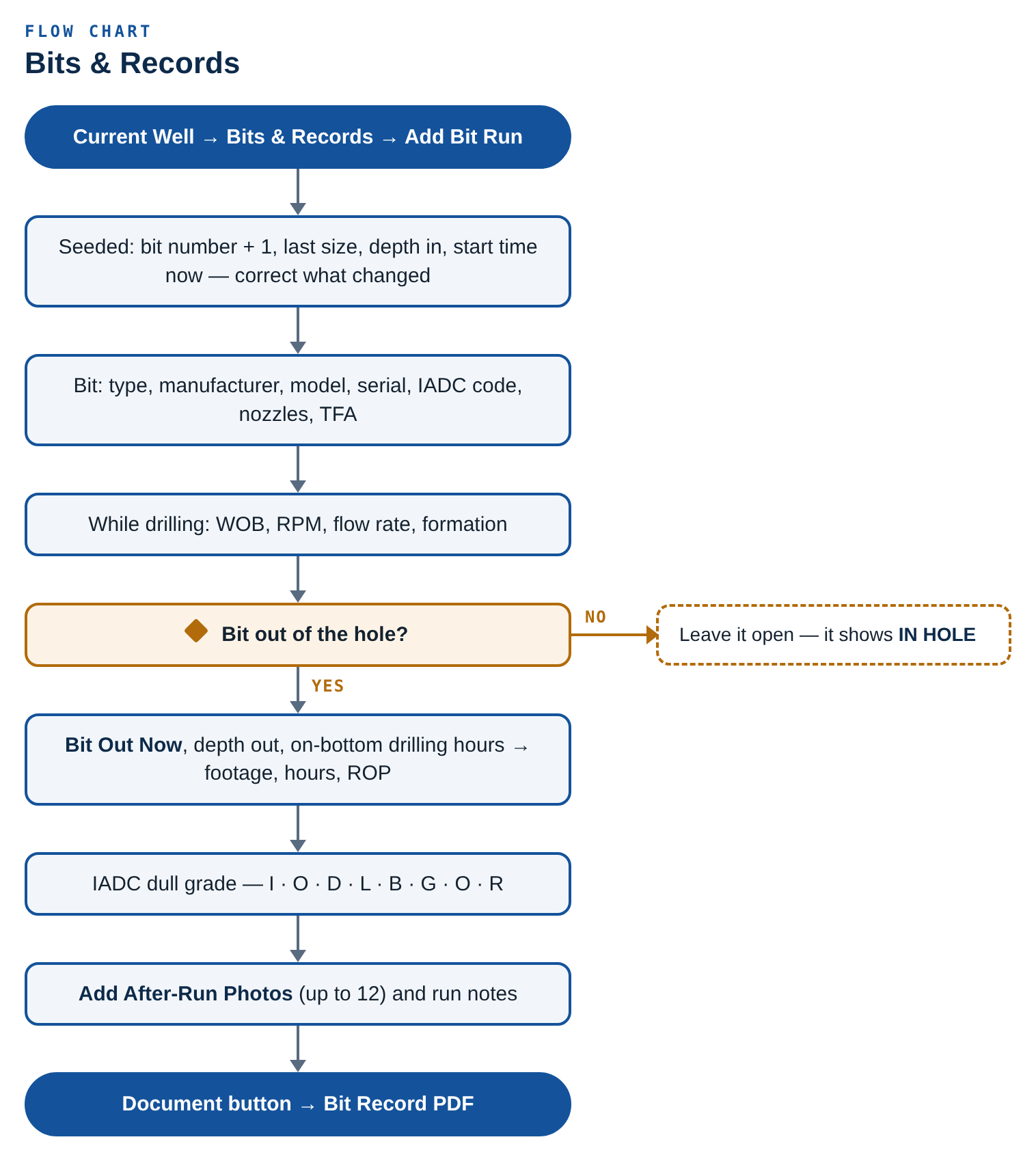 Flow chart: Bits & Records